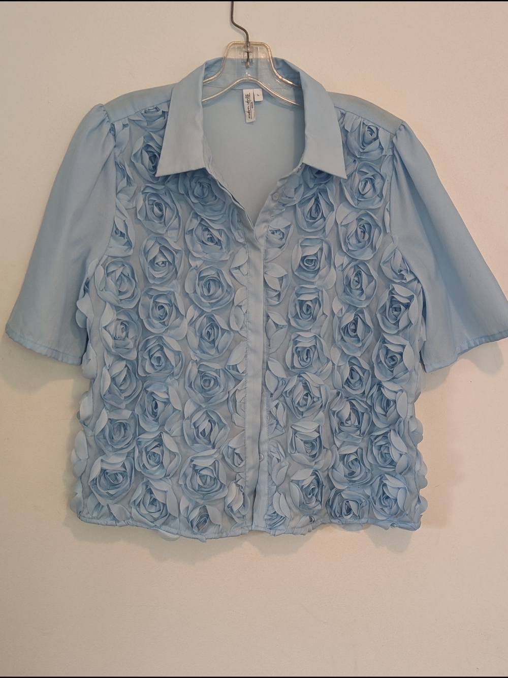 Light Blue Rose-Embellished Button-Down Blouse